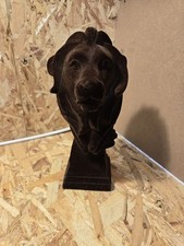  Velvet  lion head Rare