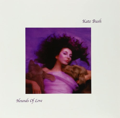 Kate bush hounds - kate, of