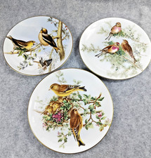 Coalport Bone China Plates 3