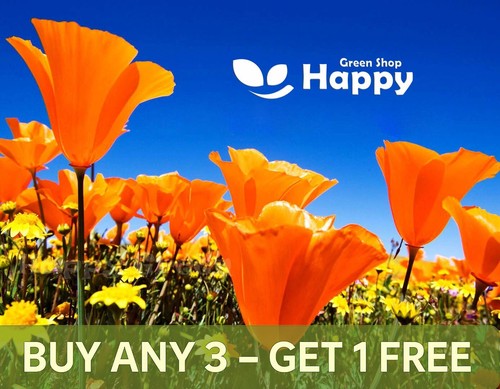 Californian poppy golden west - poppy,