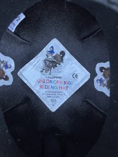VGC Junior Champion Horse