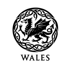 Celtic Welsh Dragon Vinyl