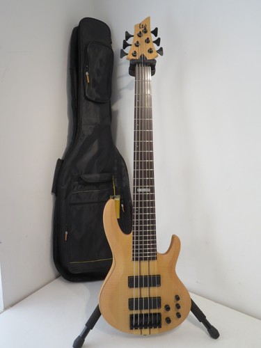 2009 esp ltd 1006 - ltd, 6