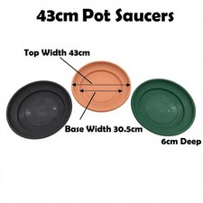 Plant pot saucer - saucer, strong