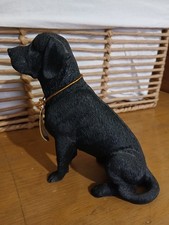 Beautiful Best of Breeds Black