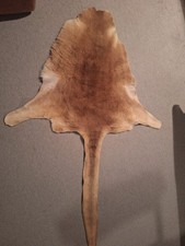 Kangaroo Skin Genuine From