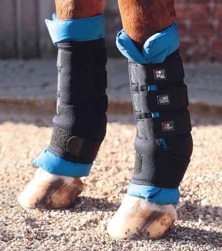 Premier equine magni teque - equine, magni-teque