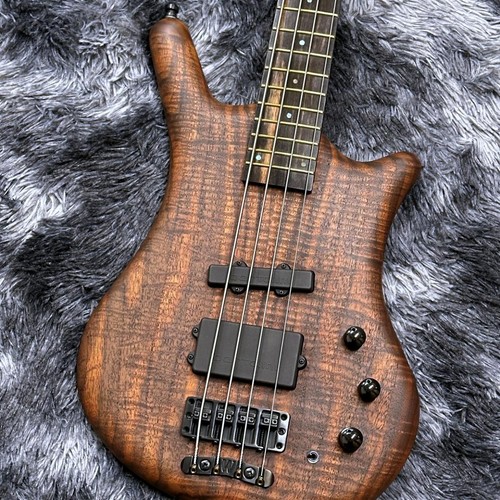 Warwick pro series teambuilt - warwick,