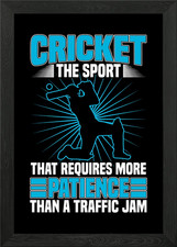 In cricket that requires m