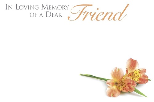 Shredastic loving memory - shredastic®,