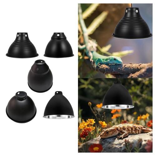 Light fixture dome - dome, for