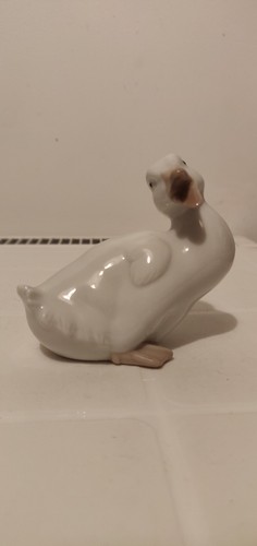 Nao little duck - nao,