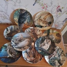 10 The Majesty Of Owls Plates