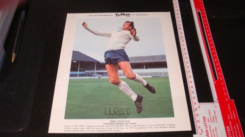 Football mike england spurs - football,