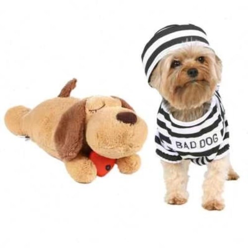 Pet puppy cat soft plush - cat, toy