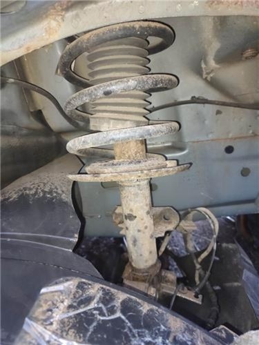 Front shock absorber - front,