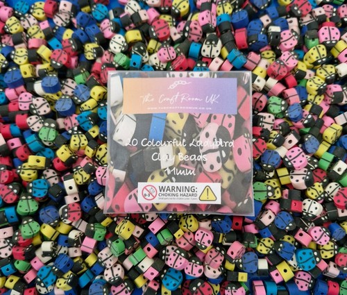 Colourful ladybird clay - colourful,