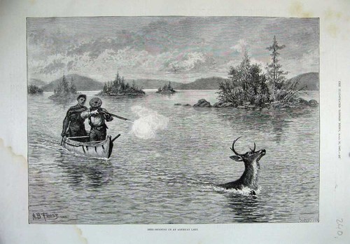 Old antique print - antique, deer