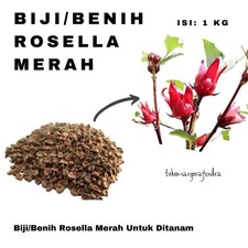 Roselle Seeds Bulk 1000g