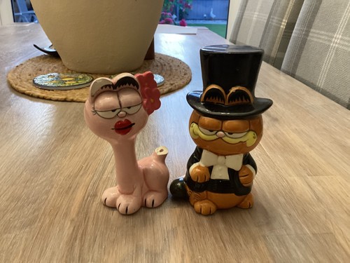 Garfield the cat bride - cat, china