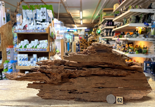 Medium natural bogwood - medium,