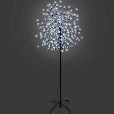 Cherry blossom tree - cherry,