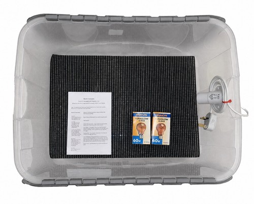 Bronze brooder - bronze,