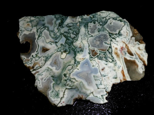Green tree agate slab - tree,