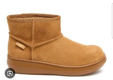 Rocket Dog Sugar Rush Warm