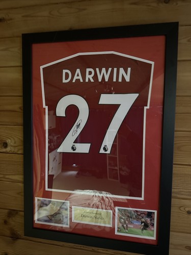 Darwin nunez signed football - darwin,