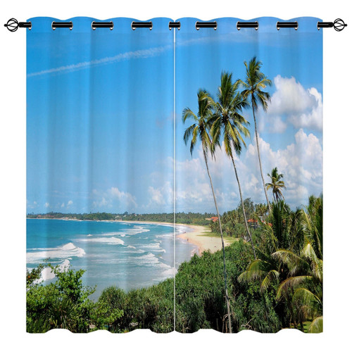 Palm tree tropical - tree, beach
