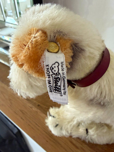 Steiff foxy fox terrier 1953 - foxy,