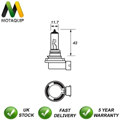 Bulbs manual front motaquip - front,