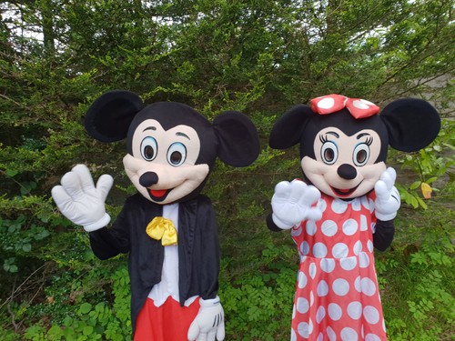 Mickey and minnie - and, mouse