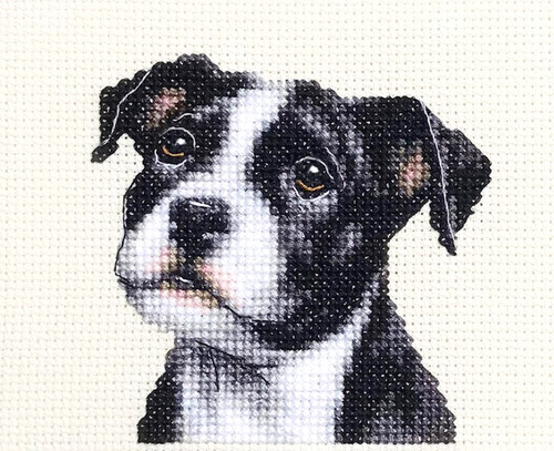 Staffordshire bull terrier - staffordshire,