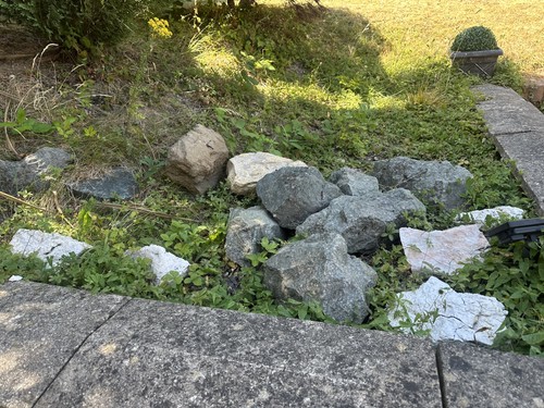 Rockery stones large - rockery,