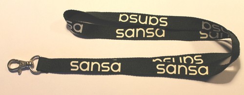 Sansa mp3 player - sansa,