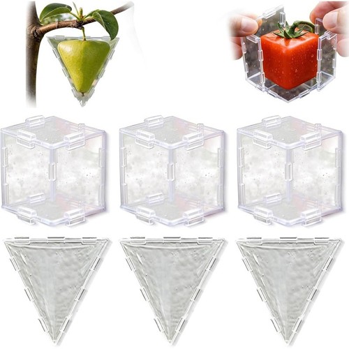 Fruit shaping mold for growing - shaping,