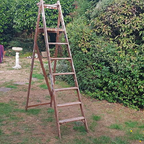 Vintage wooden step ladder - vintage,