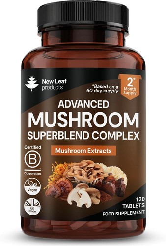 New leaf mushroom - leaf,