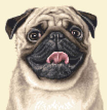 PUG dog - complete counted