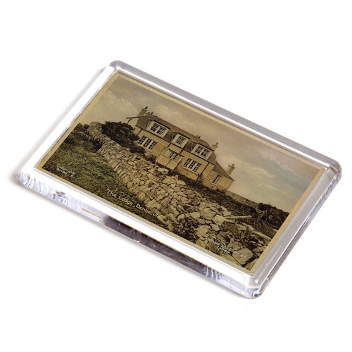 Fridge magnet vintage - fridge,