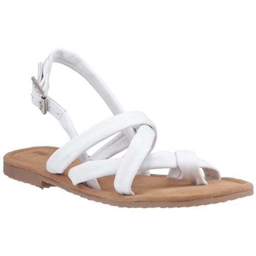 Hush puppies hope - puppies,