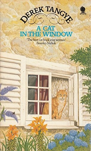 Cat the window tangye - cat,