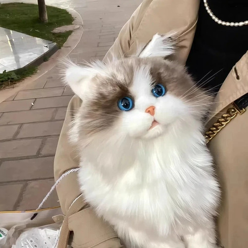 Lifelike plush cat - lifelike,