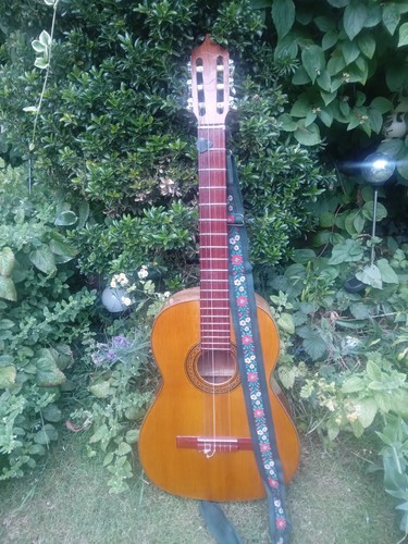 Vintage classical flamenco - vintage, classical/flamenco