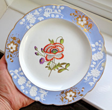 FINE GEORGIAN SPODE BOTANICAL DESSERT PLATE - HAND PAINTED POPPY & VIOLET FLOWER