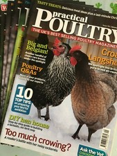 Practical Poultry Magazine-Chicken-Ducks-Game-Goose-Quail-Rabbits-#106-118-2013