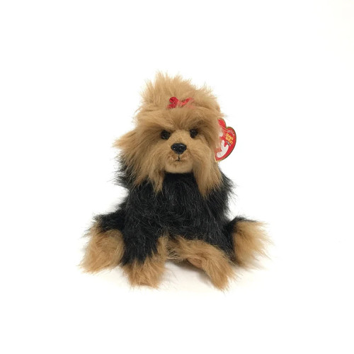 Yapper yorkshire terrier puppy