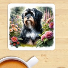 Tibetan Terrier Coaster, Watercolour Print,  Gift, Present